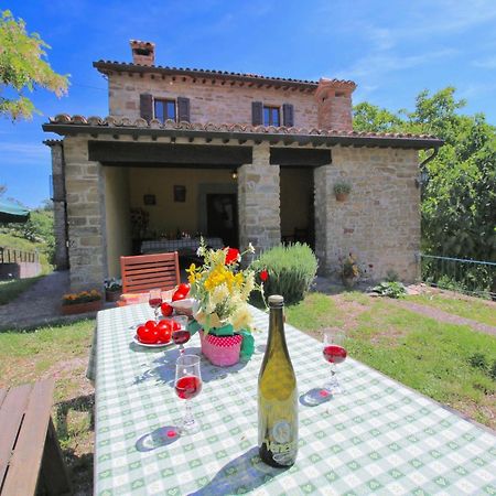 Farmhouse In Apecchio With Swimming Pool Terrace Garden Exterior photo